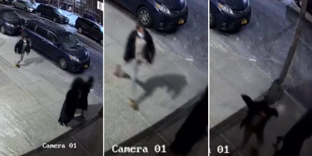 The NYPD Hate Crime Task Force is investigating the reported assault.