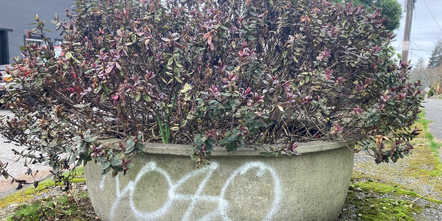 Even this planter on a city street doesn't escape the urban scrawl in Seattle, Washington, in Feb. 2022.