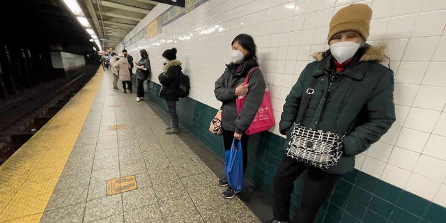 Subway passengers wait on a platform. Four people were stabbed earlier this year at a Brooklyn subway station, the NYPD said. 