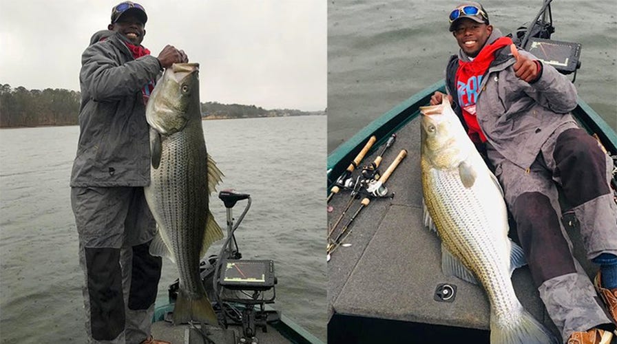 Arkansas angler reels in massive striped bass, releases it before getting  it weighed