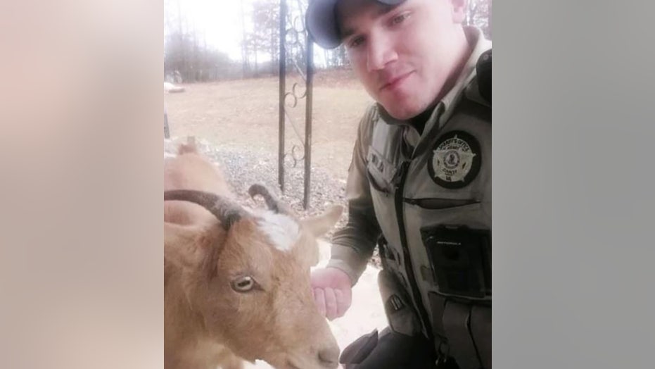 Virginia sheriff’s office praises goat for assistance in chasing suspect