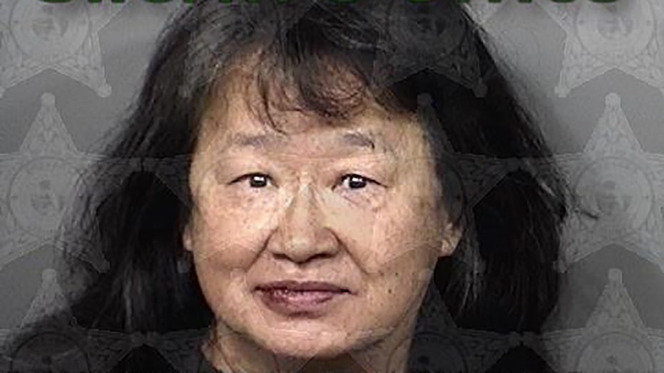 Florida woman arrested after 2 neighbors stabbed with steak knife in feud over leaf blowing, 警察说