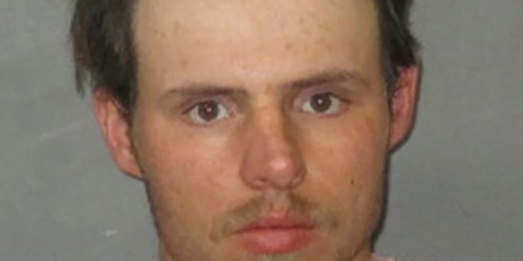 Louisiana man accidentally shot pregnant teenager to death while playing with gun in car, authorities say - Vimarsana News