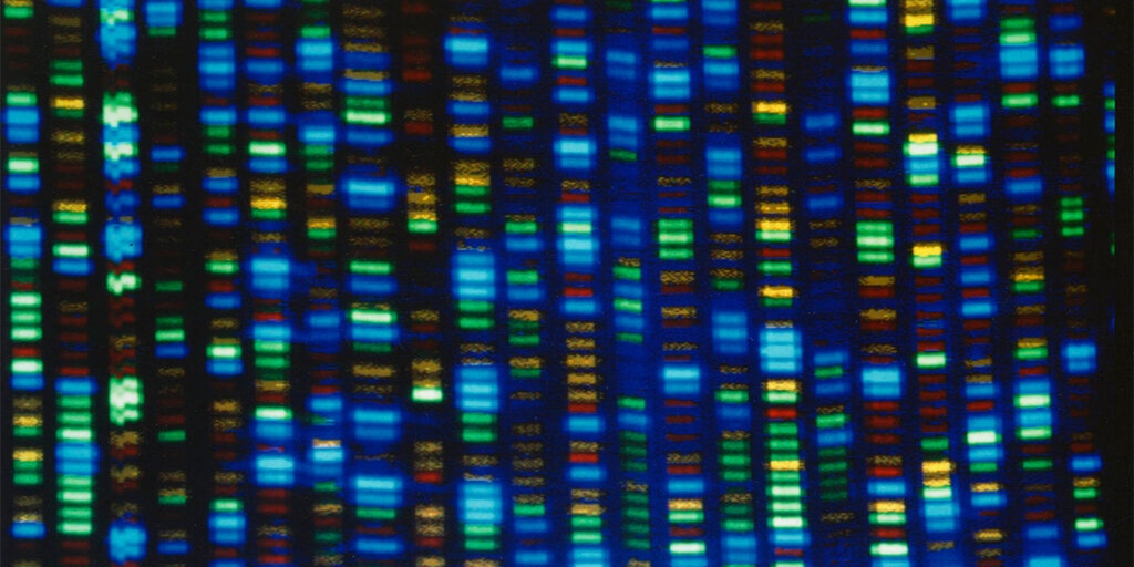 Scientists map entire human genome, opening door to new medical discoveries - Vimarsana News