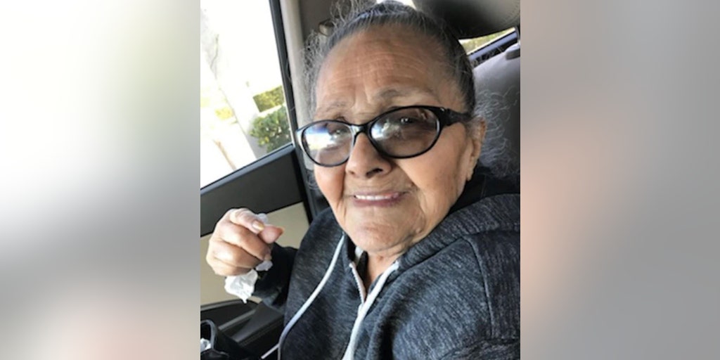 Florida man accused of killing girlfriend's mother on her 93rd birthday, authorities say - Vimarsana News