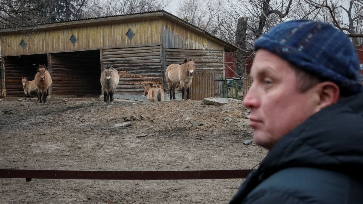 Kyiv Zoo Director Trantin Kirill looks at animals during Russia-Ukraine war