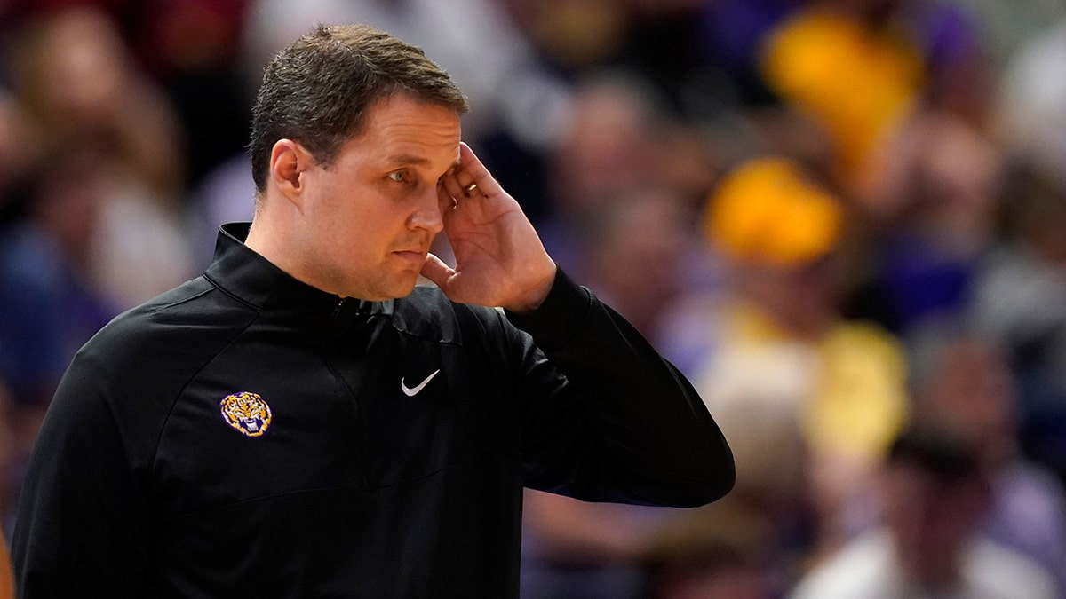 LSU Will Wade