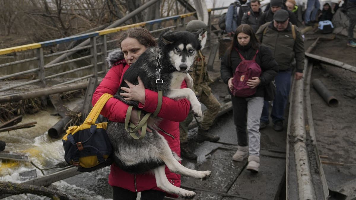 Woman flees Ukraine with Siberian Husky in arms