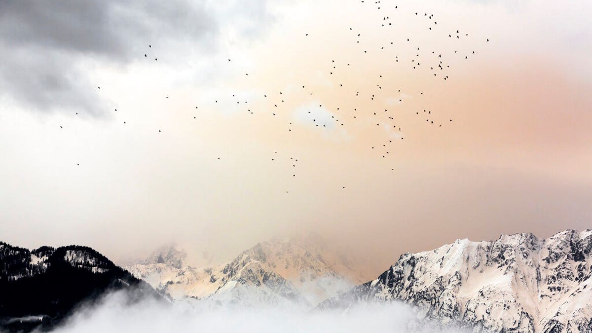 A flock of birds fly through a cloud of dust in front of the hidden Mont Blanc Massif as seen from Verbier, Switzerland.