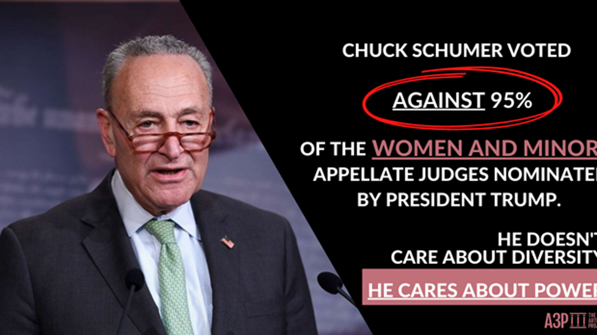 Article III Project ad takes aim at Chuck Schumer