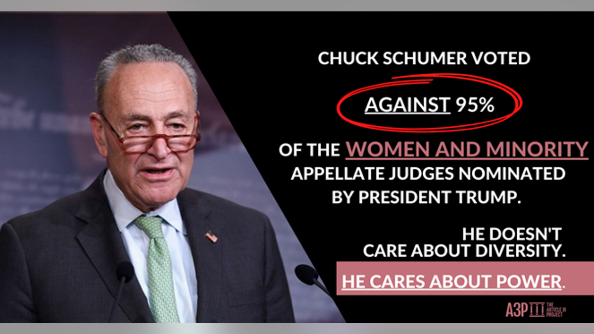 Article III Project ad takes aim at Chuck Schumer