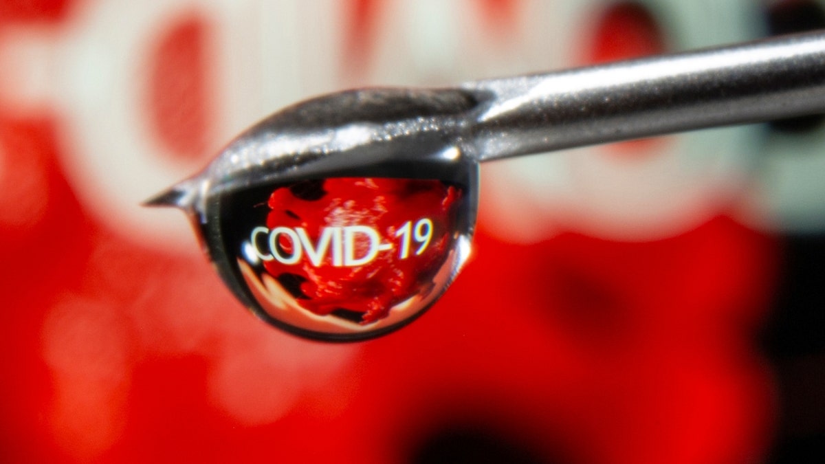 The word "COVID-19" is reflected in a drop on a syringe needle in this illustration taken Nov. 9, 2020.