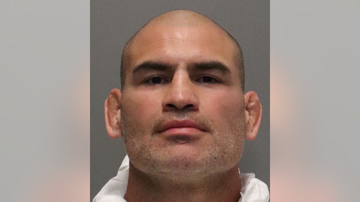 Cain Velasquez mugshot