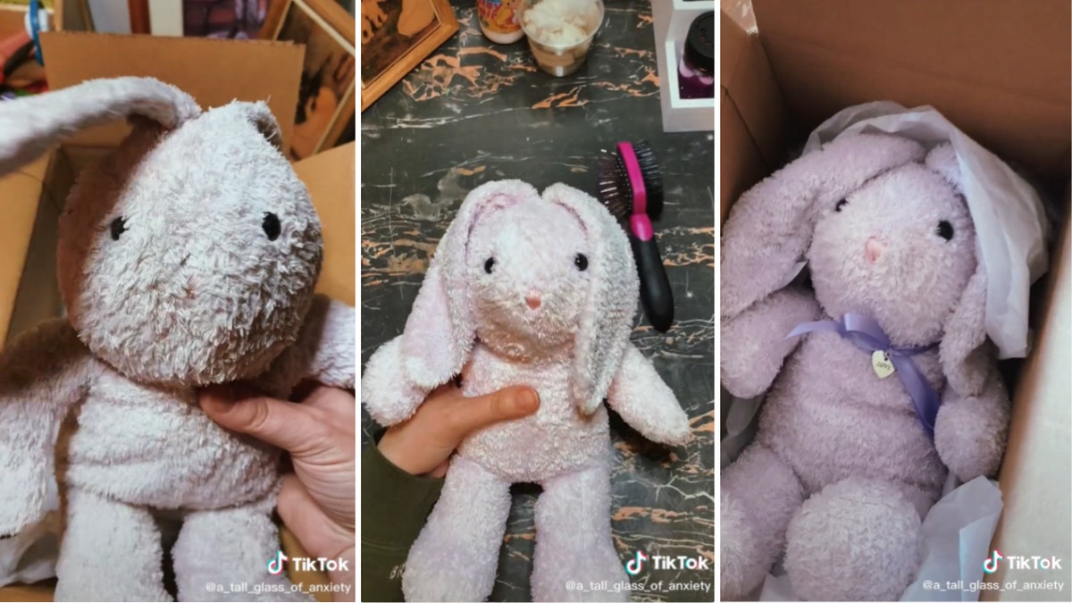 Danielle Allore-Taylor Restores Bunny DolL on TikTok