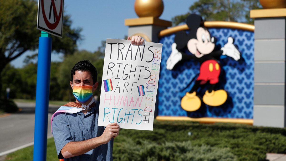 Disney don't say gay bill protester