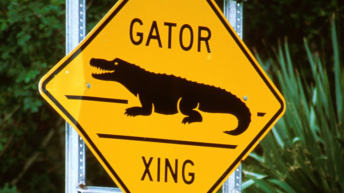 Florida, Sanibel Island, Road Sign For Alligator Crossing.