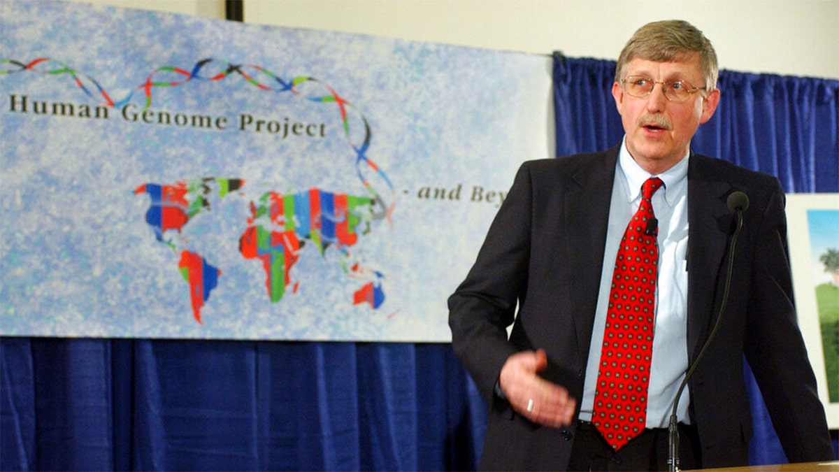 FILE: In this April 14, 2003 file photo, Dr. Francis Collins, director of the National Human Genome Research Institute, announces the successful completion of the human genome project in Bethesda, Md.