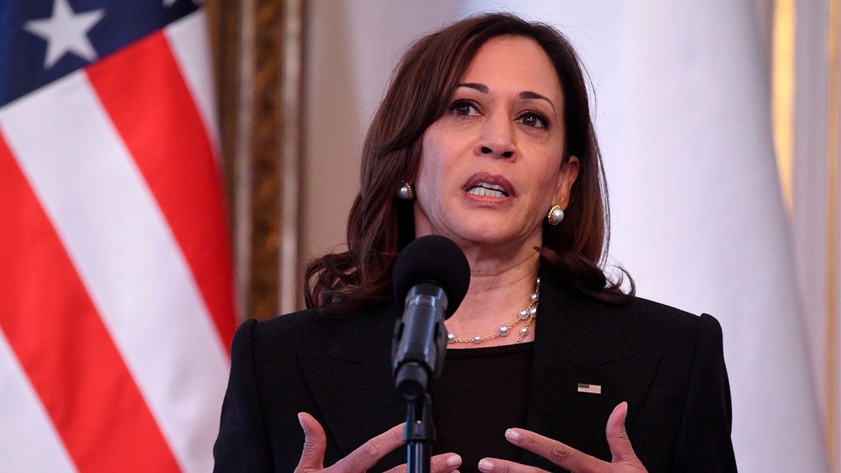 Vice President Kamala Harris speaks during a joint press conference with Poland's President Andrzej Duda on the occasion of their meeting at Belwelder Palace, in Warsaw, Poland, Thursday, March 10, 2022. (Saul Loeb/Pool Photo via AP)