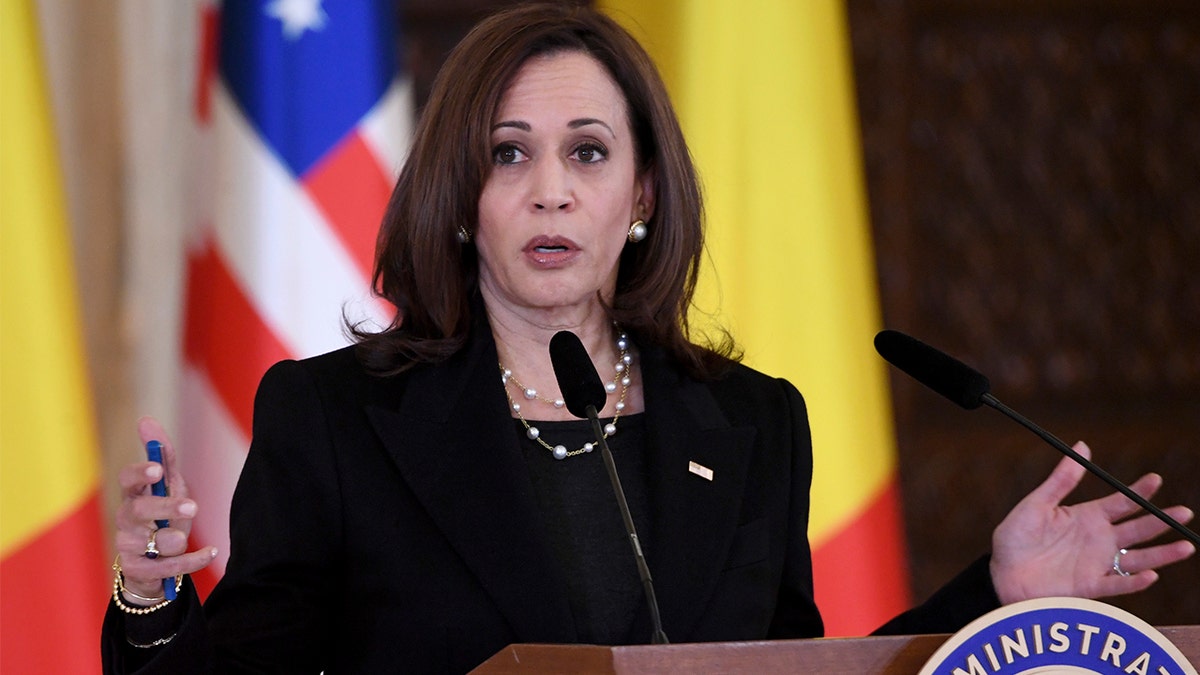 Vice President Kamala Harris holds a joint press conference following her meeting with Romanian President Klaus Iohannis at Cotroceni Palace in Otopeni, Romania, Friday, March 11, 2022. (Saul Loeb/Pool Photo via AP)