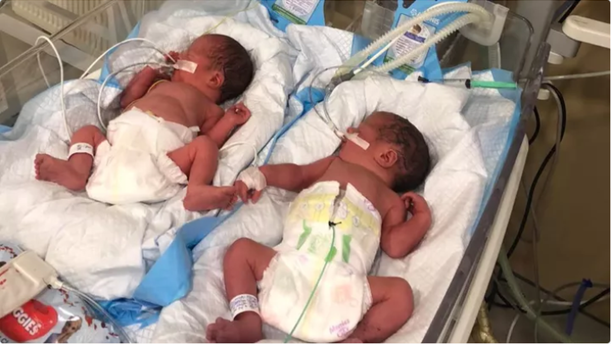 Premature babies Lenny and Moishe rescued by Project Dynamo's mission 'GEMINI' in Ukraine