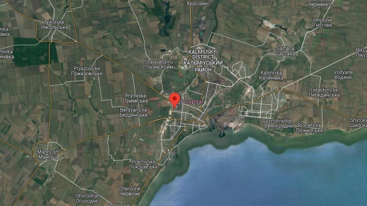 Mariupol Regional Intensive Care Hospital (Google Maps)