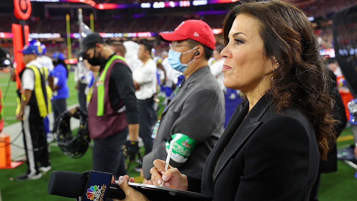 Michele Tafoya dishes on pivot from NFL sideline to politics The