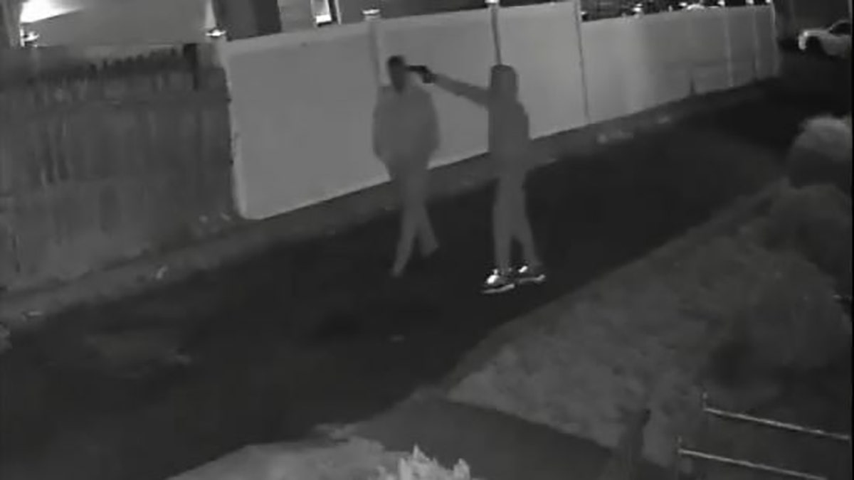 A New York City man was shot in the head at point-blank range over the weekend while walking on a residential street, authorities said Wednesday.