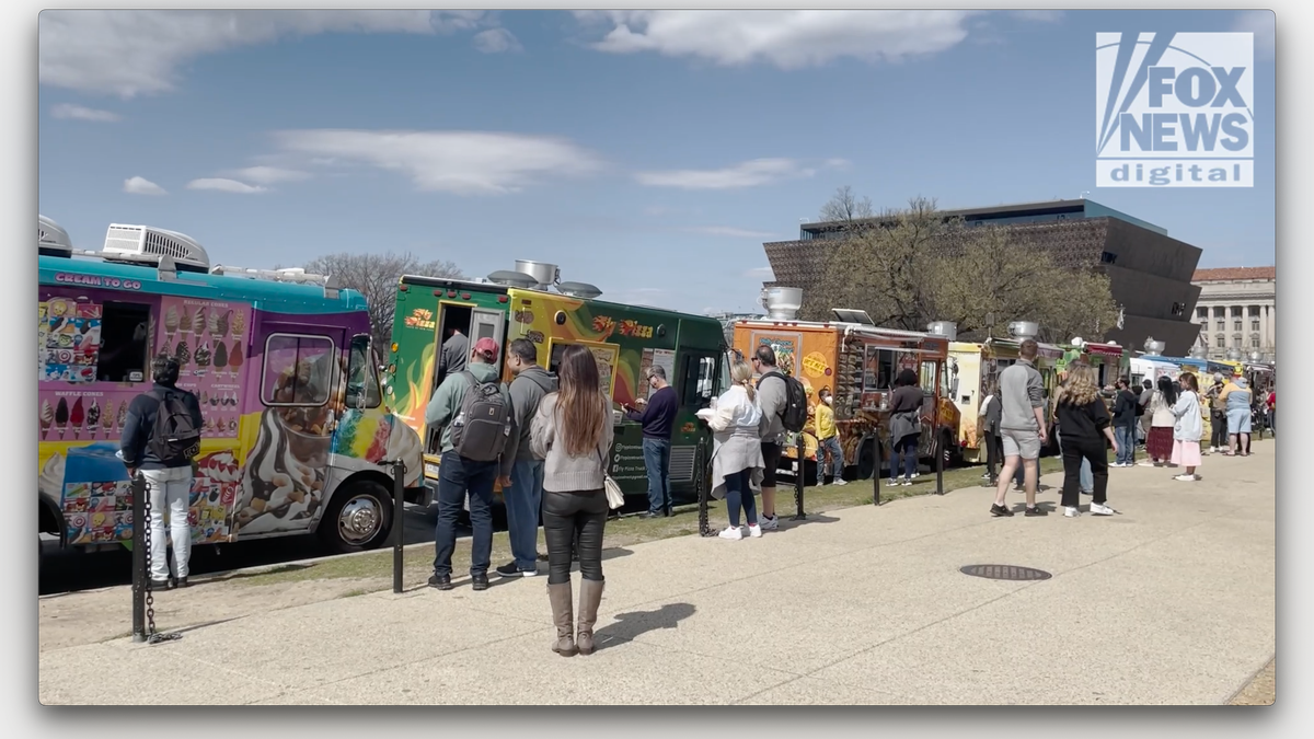 People line up to get lunch from food trucks in Washington, D.C.