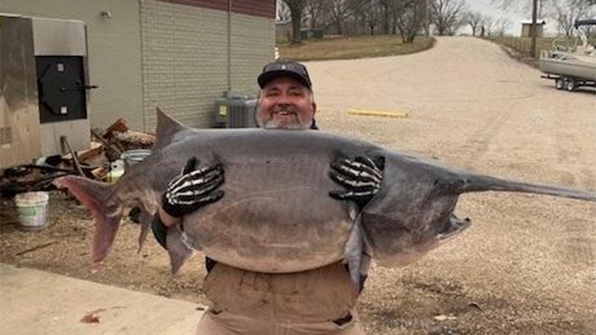 Jim Dain record breaking paddlefish Missouri