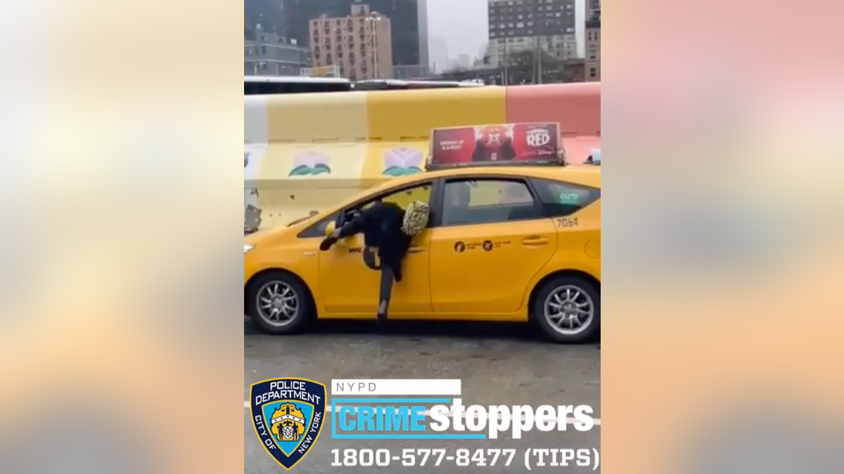 Woman in NYC hurls concrete block through car window