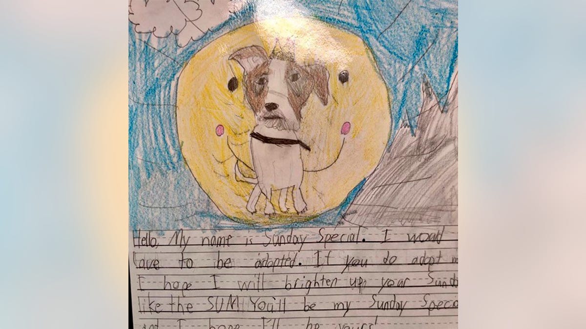 Second-graders at St. Michael's Episcopal School in?Richmond created artwork accompanied by letters written to potential cat and dog "parents" from the perspectives of the shelter animals. The children focused on crafting stories for Richmond Animal Care &amp; Control’s oldest residents, the longest residents and animals who needed "some extra help" finding homes.