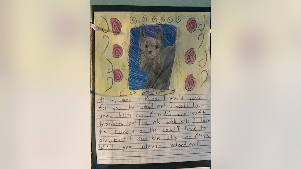 "I am so proud to see my students rise to the occasion and write amazing persuasive paragraphs through the eyes of one of their RACC dogs," said Kensey Jones, second-grade teacher at St. Michael's Episcopal School in?Richmond, Virginia.
