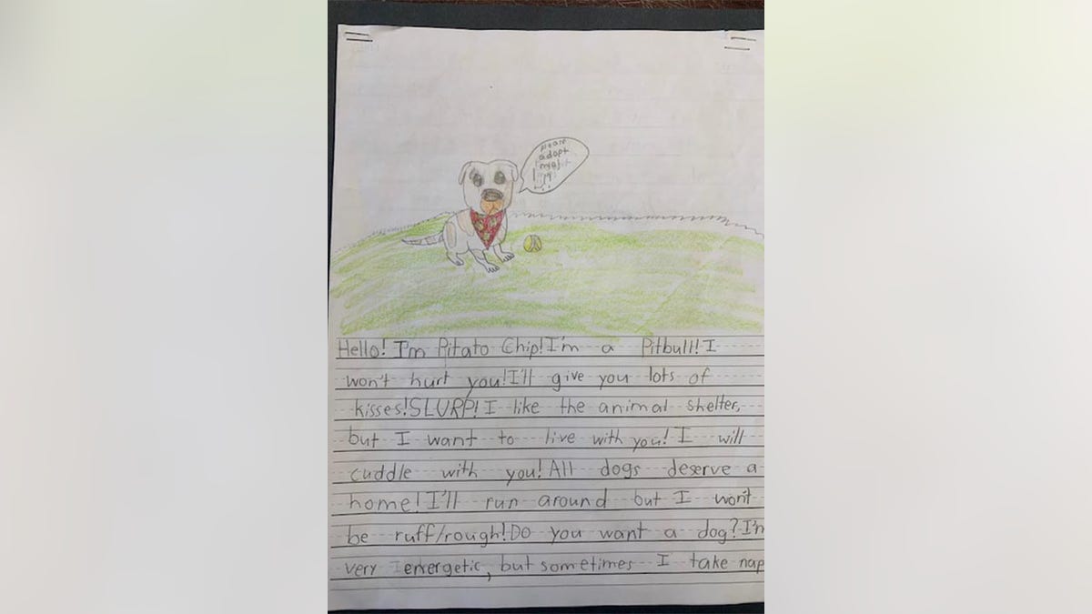 Second-graders at St. Michael's Episcopal School in?Richmond, Virginia, have created artwork accompanied by letters written to potential cat and dog "parents" from the perspectives of 24 dogs and one cat.