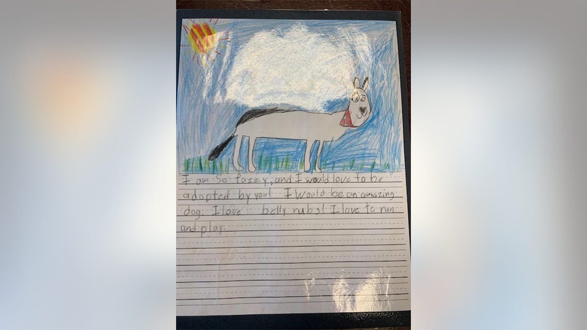 Seen in an image snapped in late February 2022, this is a child's handwritten letter from the perspective of a shelter dog who "wants to be adopted" in Richmond, Virginia.