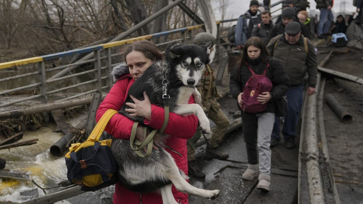 Russia Ukraine War Pets