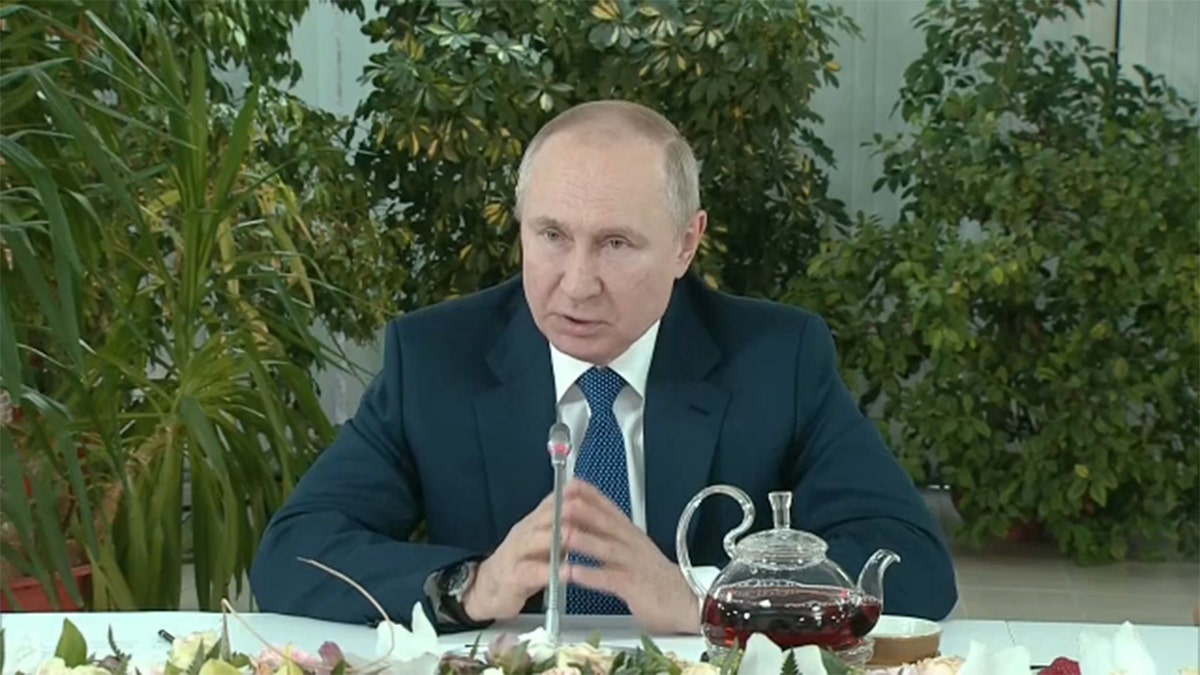 Russian President Vladimir Putin appears in a suit in front of plants