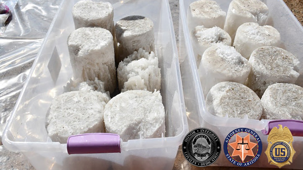 Two Arizona men were sentenced to years in prison after police discovered hundreds of pounds of illicit drugs worth over $1 million inside their home, authorities said Tuesday.