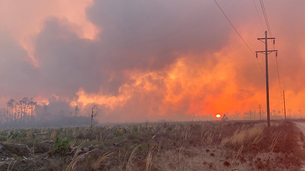 Massive wildfires in the Florida Panhandle have scorched thousands of acres and forced the evacuation of at least 1,100 homes as firefighters battle gusting winds to contain the blazes on Monday.