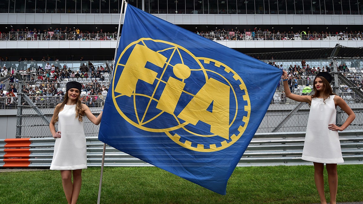 FIA flag