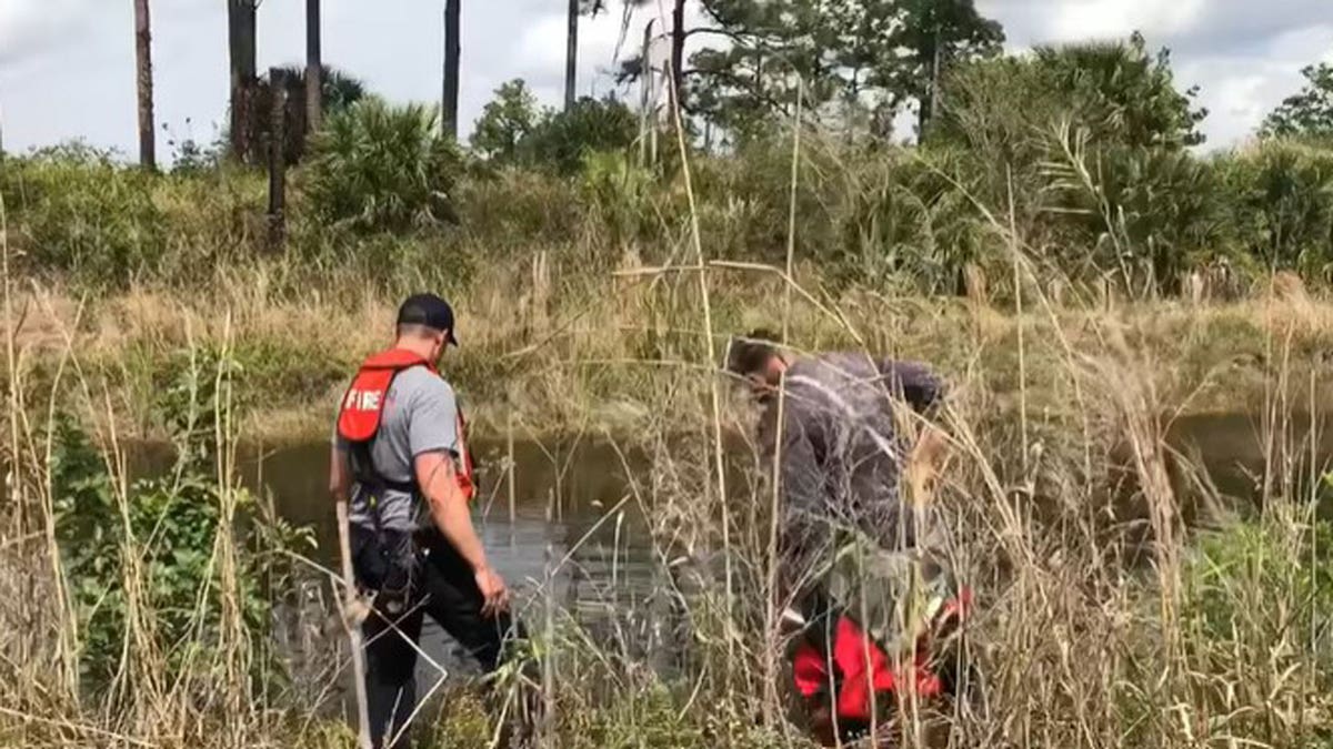 Sheriff's office divers searched a gator-infested canal in a Florida wilderness preserve after human remains were found in the mouth of a large alligator.
