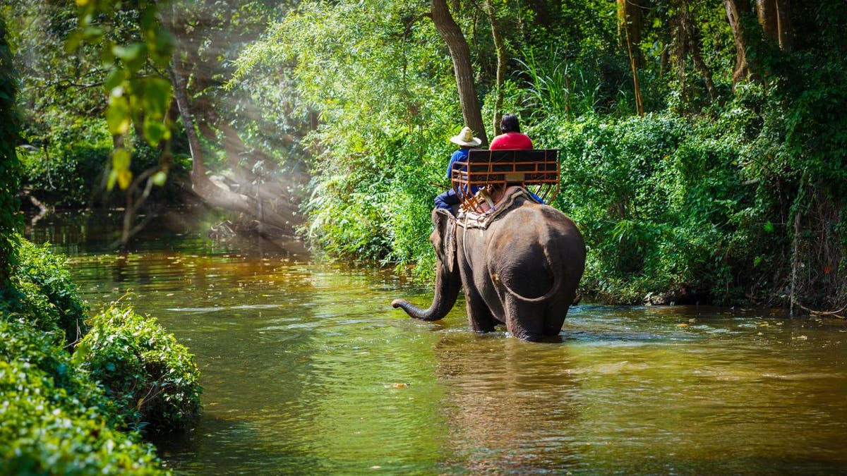 Travelers riding elephant in Thailand