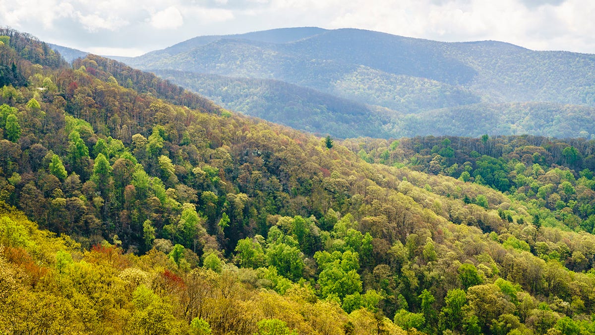 Great Smoky Mountains from Cherohala Skyway, Tennessee