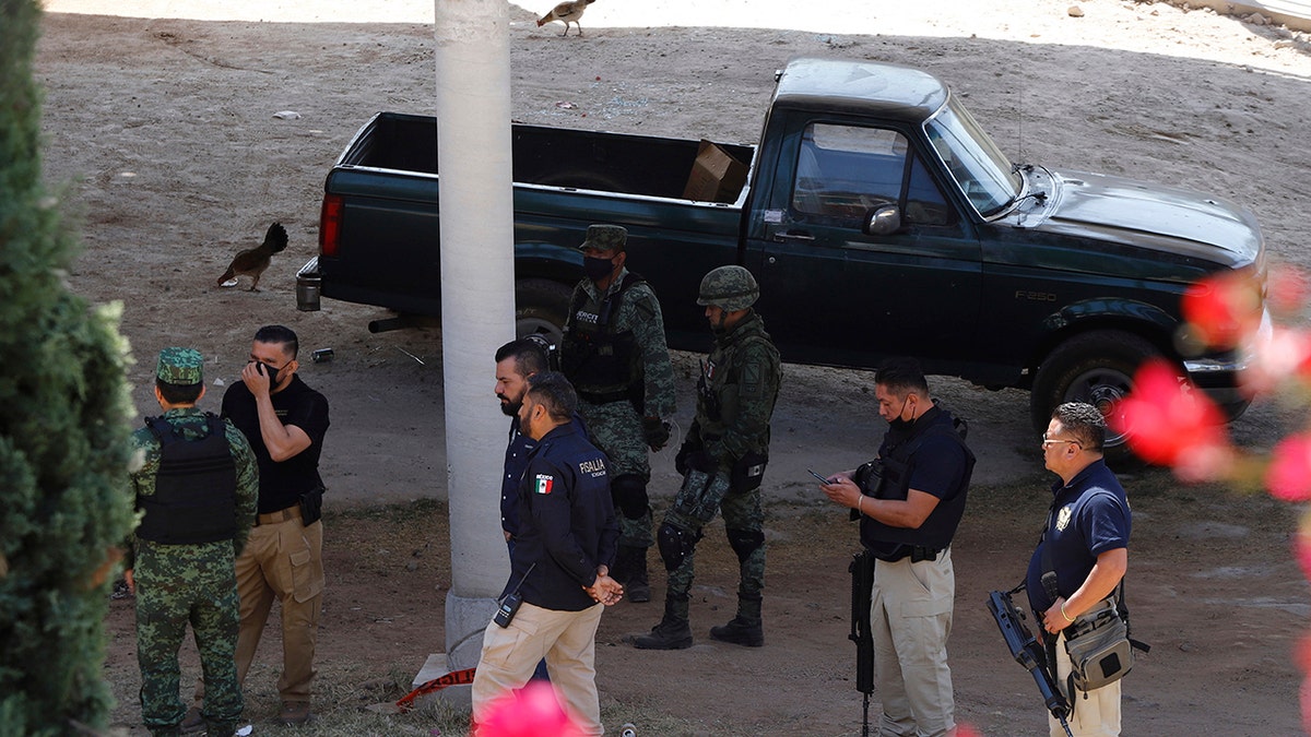 Army officers and Michoacan state prosecutors inspect the cockfighting site "El Paraiso," or Paradise in Zinapecuaro, Mexico, Monday, March 28, 2022. 