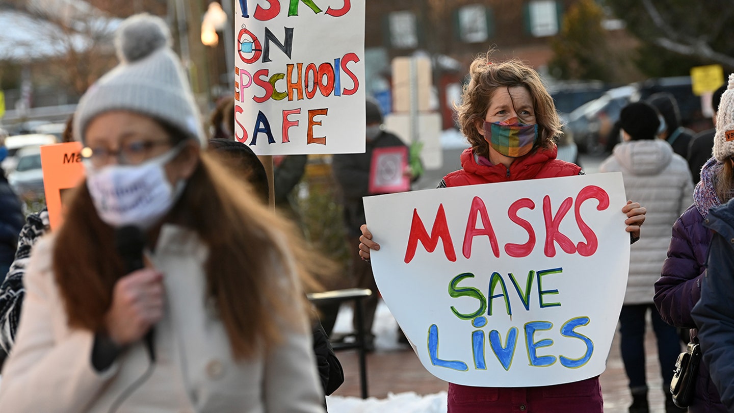 virginia masks