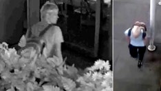 NYC anti-Asian hate crime suspect nabbed after NY Public Library security recognized him from Fox footage