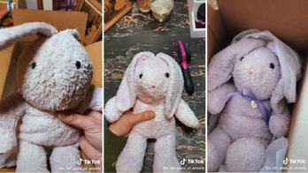 Woman finds lost stuffed bunny and wants to locate its owner: 'Looks like it was pretty loved'