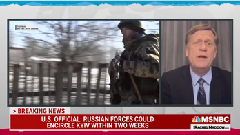 MSNBC guest torched for 'rehabbing Hitler' during Putin talk; claims Hitler 'didn't kill ethnic Germans'