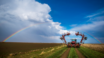 Russia-Ukraine war could cripple the food supply chain, but America's farmers can help