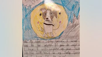 2nd graders write heartfelt stories from shelter dogs' perspectives to get them adopted