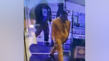 Georgia police officer shot, manhunt underway